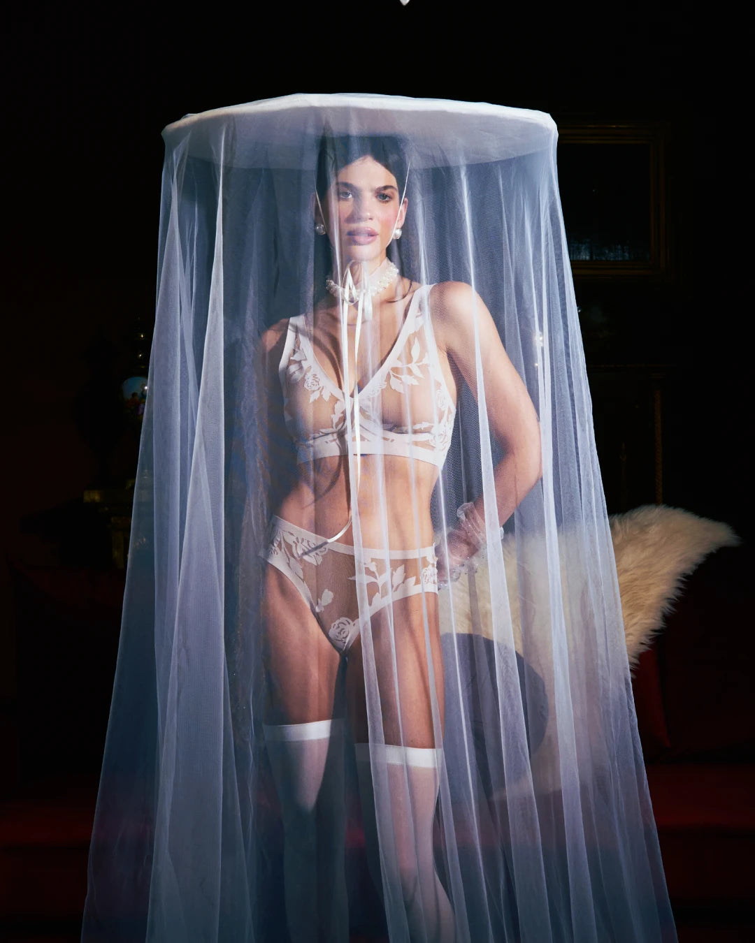 Madam Lux Sheer Brief