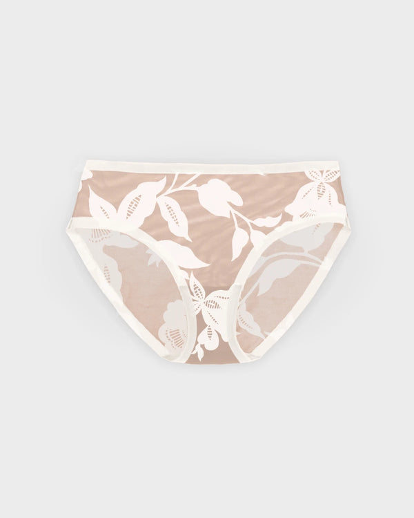 Brief
