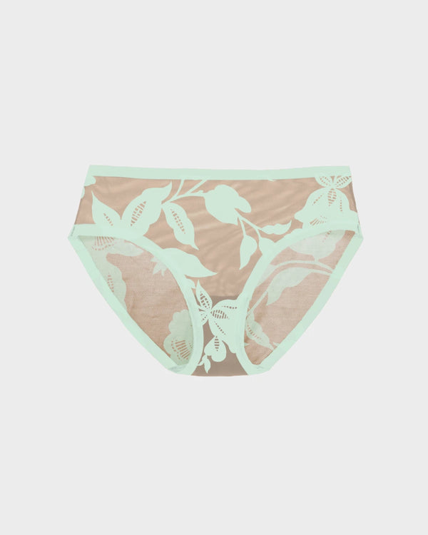Brief