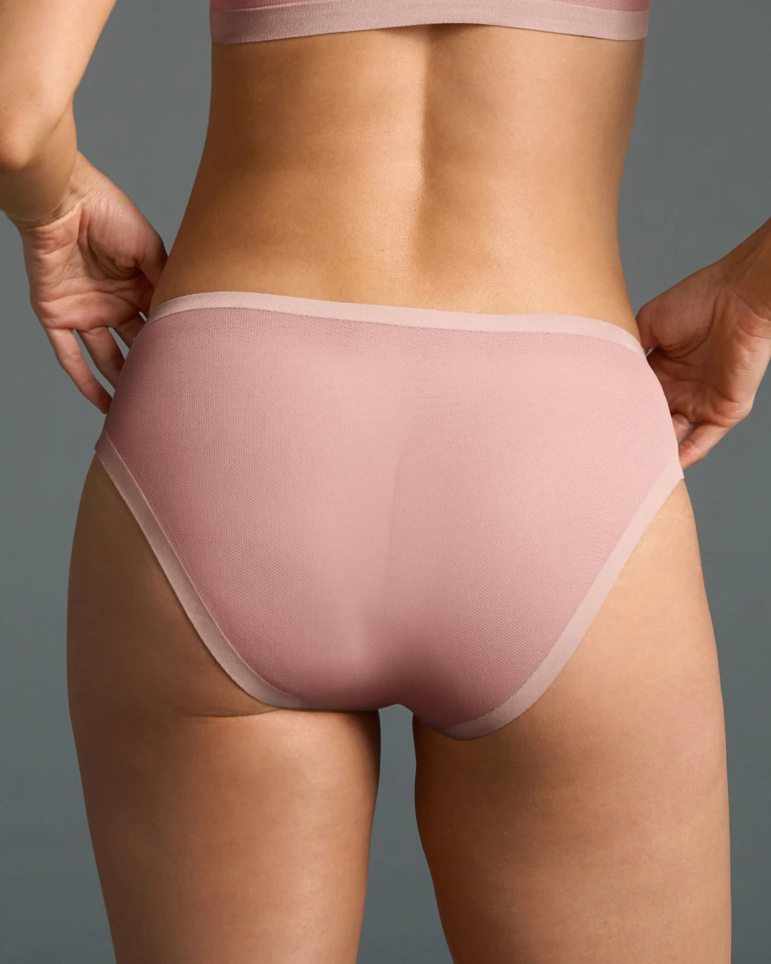 Murex Shell Brief