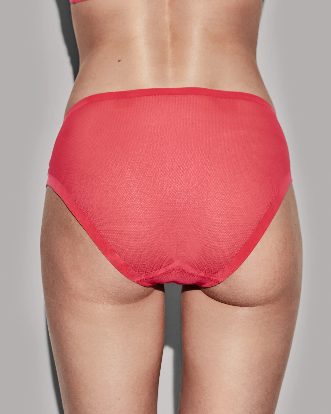 Poppy Sheer Brief