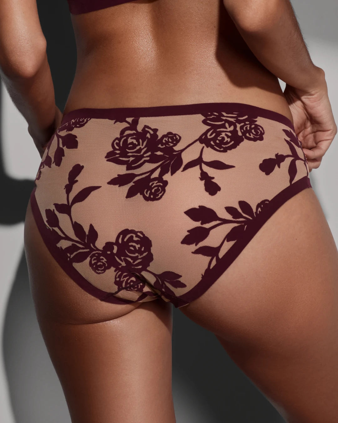 Madam Coquette Sheer Bralette and Sheer Brief Set