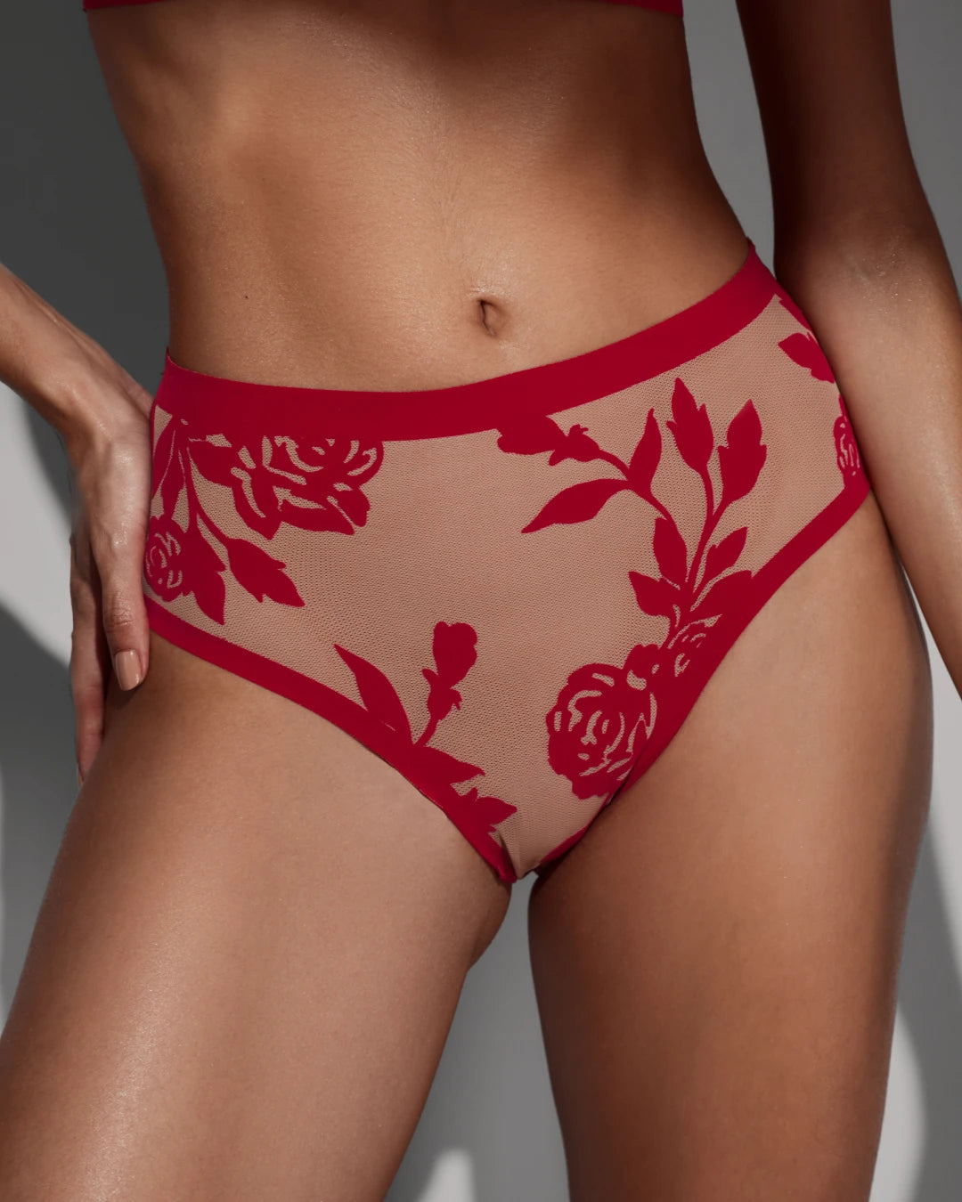 Madam Rouge Sheer Bralette and Sheer High Cut Set