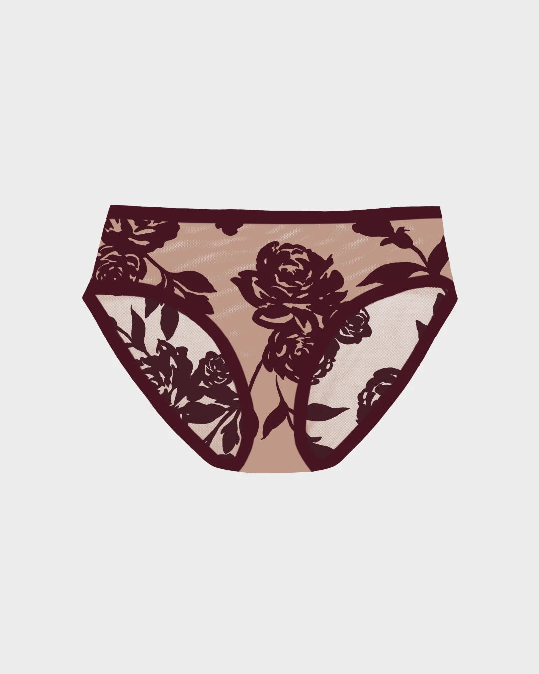 Madam Coquette Sheer Brief