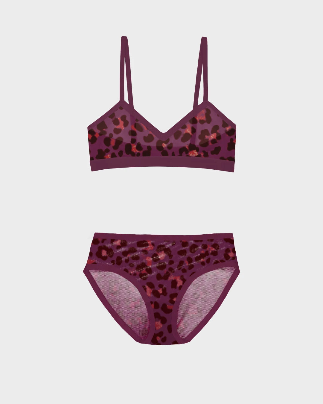 Cat Eye Triangle Sheer and Sheer Brief Set