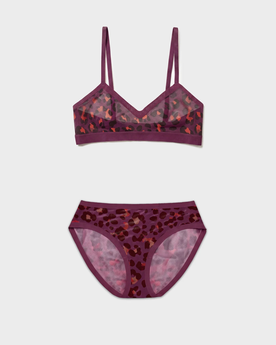 Cat Eye Triangle Sheer and Sheer Brief Set