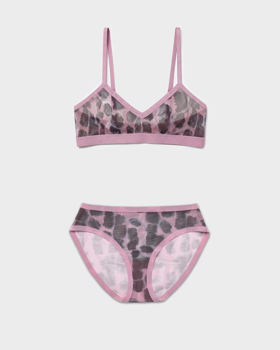 En Pointe Triangle Sheer Bra and Sheer Brief Set