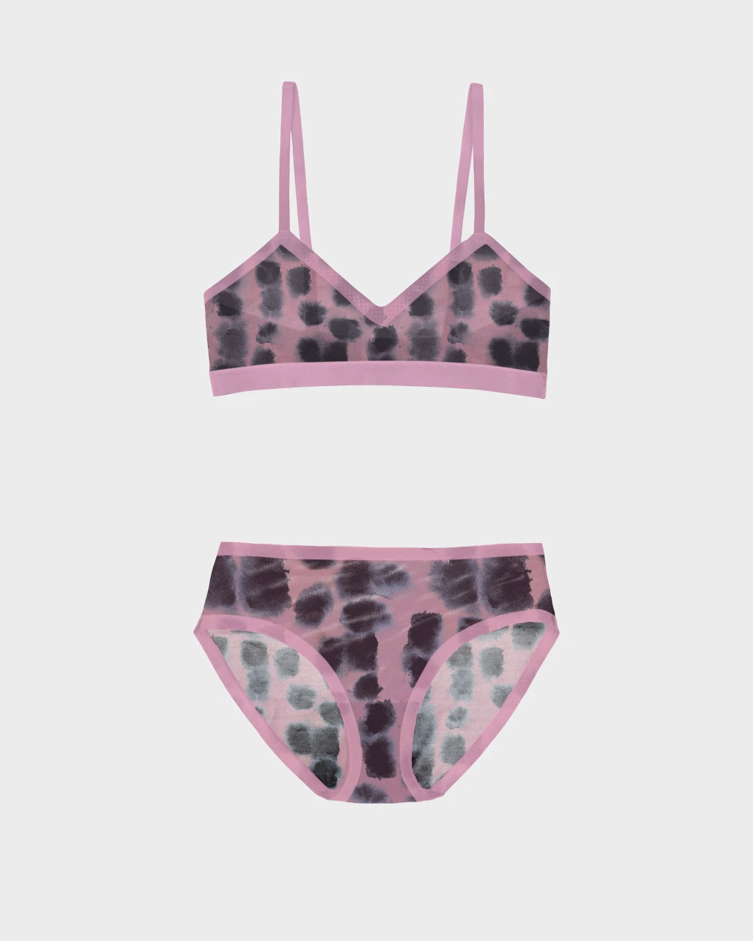 En Pointe Triangle Sheer Bra and Sheer Brief Set