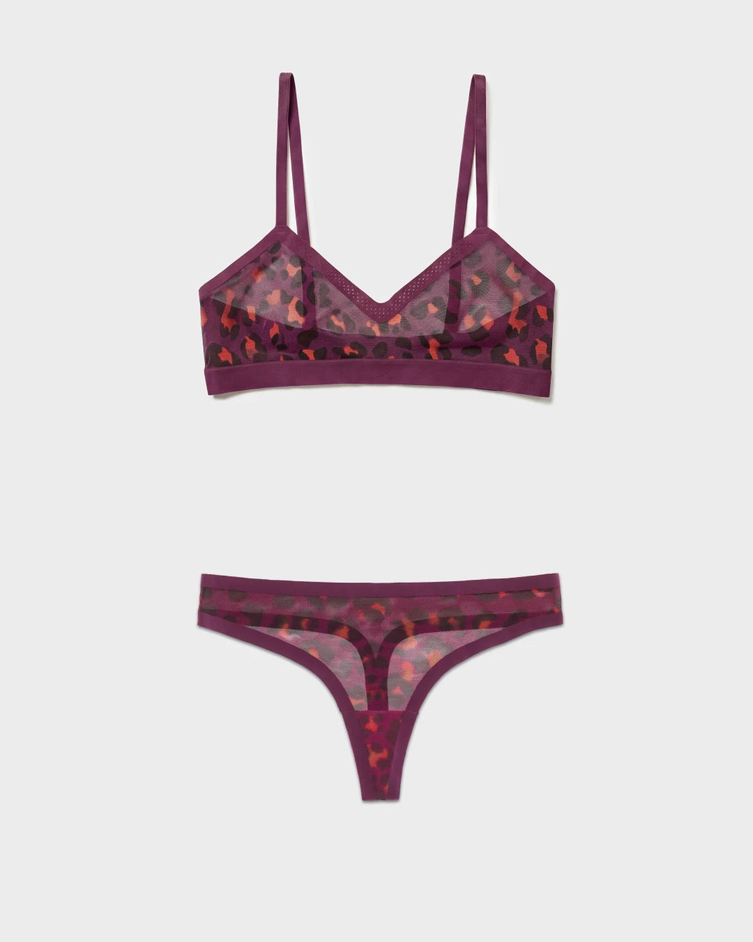 Cat Eye Triangle Sheer and Sheer Thong Set