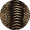Killer Skin